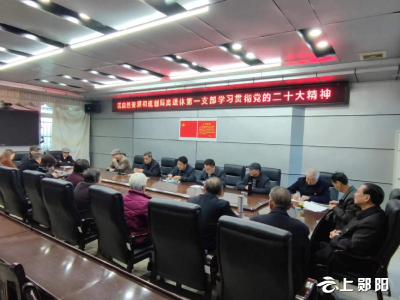 区自然资源和规划局离退休第一支部学习贯彻党的二十大精神