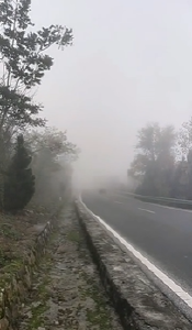郧阳区发布大雾橙色预警 请注意防范