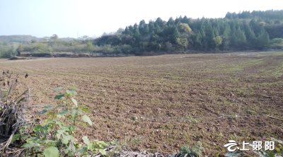 【学习贯彻党的二十大精神】郧阳区加快推进高标准农田建设