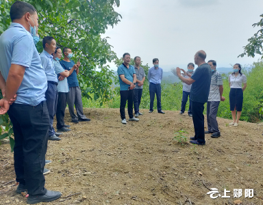 “党员科技志愿服务队” 破解核桃技术大难题