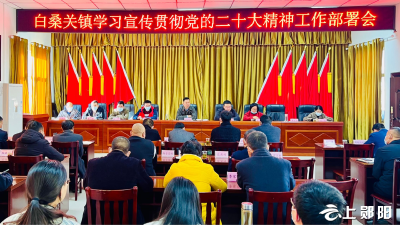 白桑关镇召开学习宣传贯彻党的二十大精神部署会