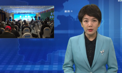 “2022楚商年会”动力电池产业高峰论坛举行