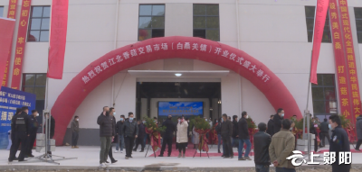 白桑关镇：健全产业链条 建强香菇名镇