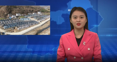 白桑关镇：健全产业链条 建设香菇名镇