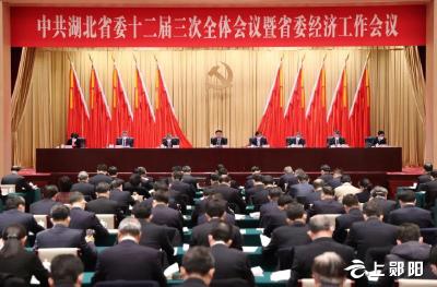 中共湖北省委十二届三次全体会议暨省委经济工作会议在汉举行