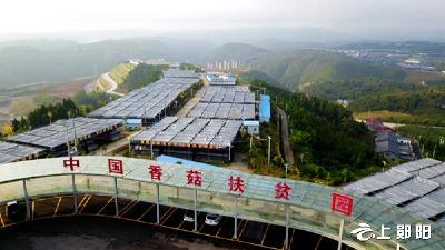 区商务局:推动外贸转型基地申报落地 