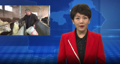 郭发贵：养牛越来越“牛气 ”  过年要过热闹年