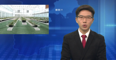 绿道有机农场：向农业现代化迈进