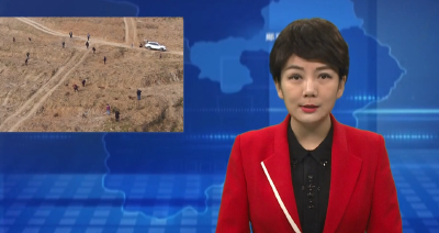 油茶产业强农富民