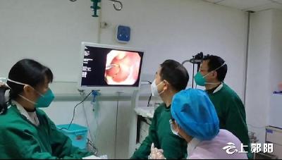 6旬老人胃内长出拳头大小的结石,竟是因为多吃了这个水果