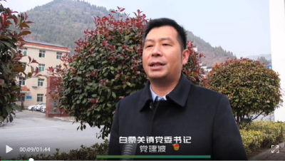 【能力作风大家谈】白桑关镇：深化能力作风建设 奋力打造香菇第一镇