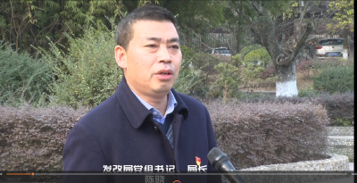 【能力作风大家谈】区发改局：立足岗位职责 激发发展活力