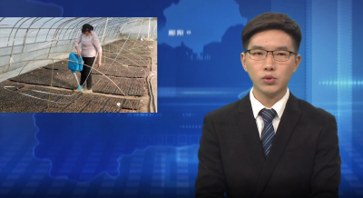 人勤春来早 蔬菜育苗忙