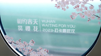 看完这篇，你也坐火车去赏樱花吧！