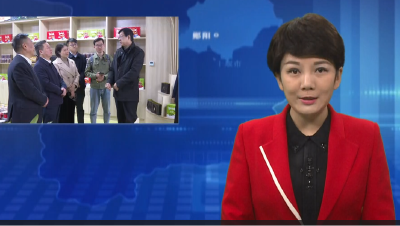 武汉大学质量发展战略研究院院长程虹到郧阳区调研