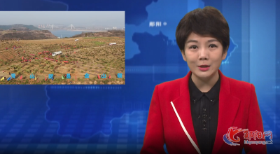 郧阳1000余名党员干部群众集中参与义务植树活动