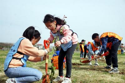 郧阳：学生娃为水源区添新绿