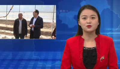 区供销社：“送肥下乡”促春耕