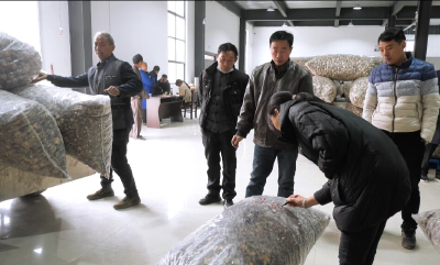 【抢占新赛道 攻坚主战场】江北香菇交易市场：开市交易忙 撑起致富路