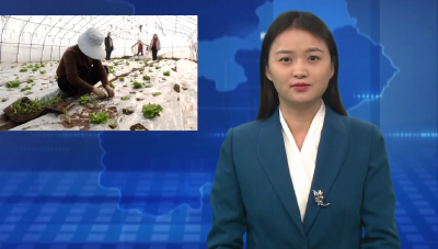 春回大地暖 春耕生产忙