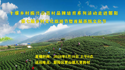 十堰乡村振兴示范村品牌培育系列活动走进郧阳第七届乡村文化旅游节暨首届茶旅文化节