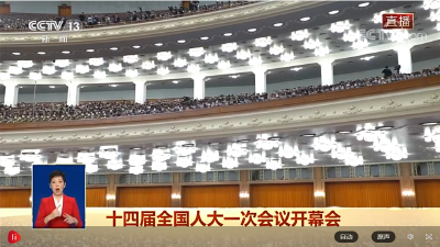 十四届全国人大一次会议开幕会