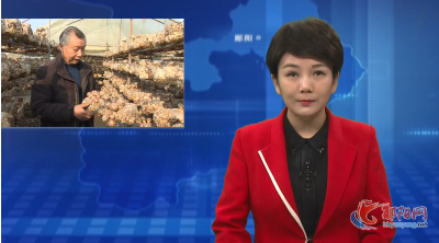 李秀学：二十年咬定香菇产业   铺就小康路