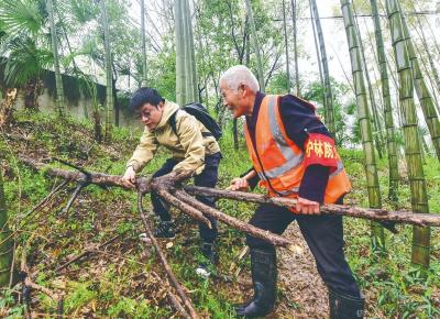 湖北黄石：八旬村民李相育守岛护鸟——25年开荒植绿，迎来满目苍翠