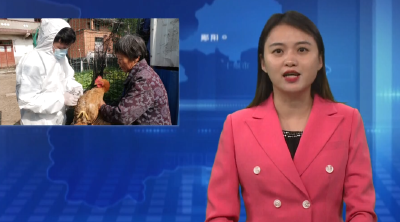 郧阳区：打好春防“主动仗” 筑牢畜牧“安全网”