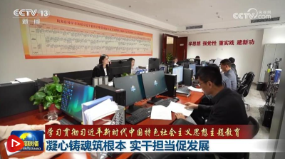 【学习贯彻习近平新时代中国特色社会主义思想主题教育】凝心铸魂筑根本 实干担当促发展