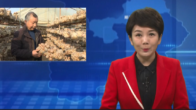 李秀学：二十年咬定香菇产业   铺就小康路