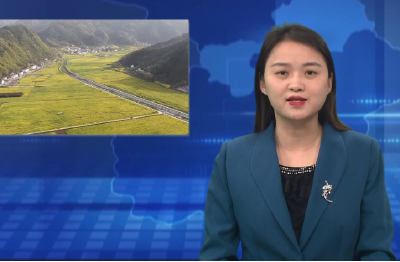 五峰乡：油菜花开正当时 金色田园秀美如画