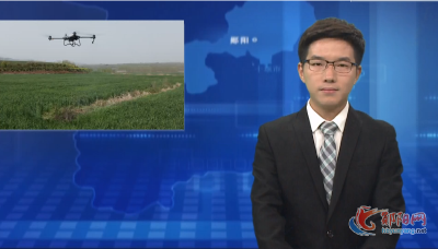 郧阳区：小麦“一喷三防”促丰产质优