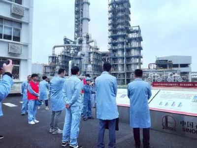 蝶变荆门｜荆采行探访低碳工厂