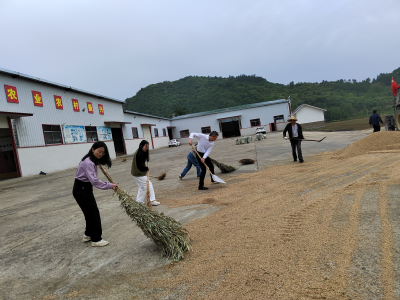 郧阳区残联：深入企业走访 助力企业发展