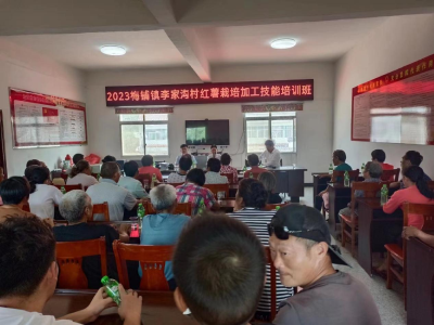 梅铺镇：开展红薯栽培技能培训  夯实产业发展基础