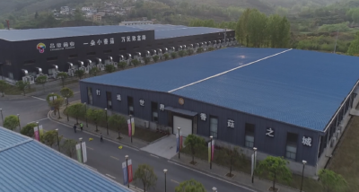 【抢占新赛道 奋进双过半】湖北昌欣香菇：科技研发提品质扩市场 实现“双过半”