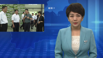 全市乡村建设“六件事”第二季度现场拉练