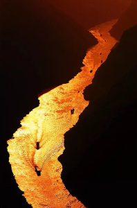 特别的爱，给特别的你