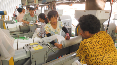 【乡村振兴新画卷】郧阳区白桑关镇：抢抓黄金季节 加快菌棒生产