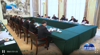 中央第十巡回指导组召开湖北省基层代表座谈会 听取开展第二批主题教育意见建议