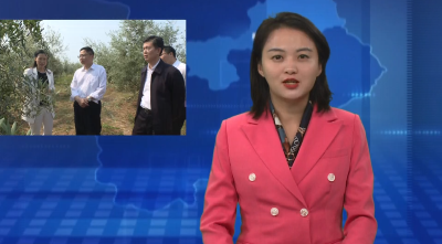 省政协党组成员 副主席王兴於到郧阳区调研