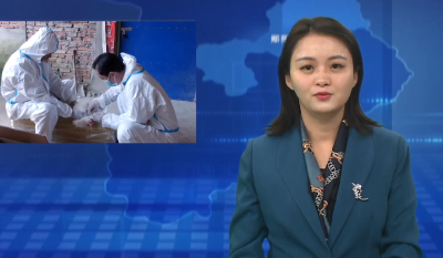 郧阳区：开展秋防抗体监测 保障畜禽免疫保护力