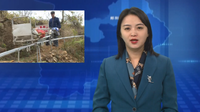 刘洞镇：木瓜坐上轨道车 带民走上致富路