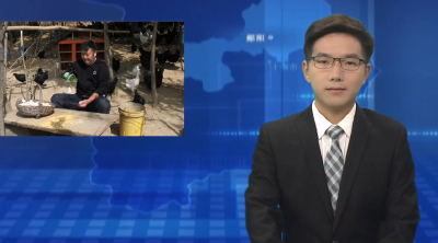 孔雀平哥：幸福都是奋斗出来的