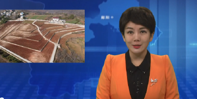 郧阳区：高标准农田建设让“枯田”变“良田”