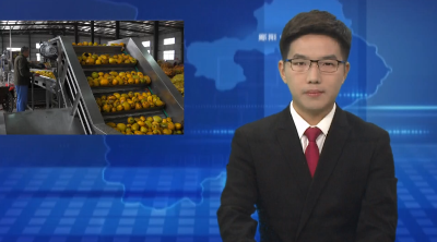 郧阳区：加速推进技改换新 赋能木瓜产业发展