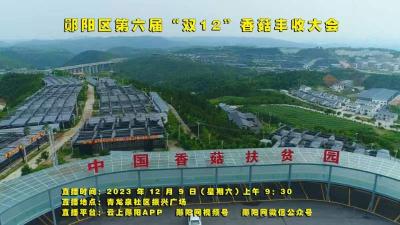 郧阳区第六届“双12”香菇丰收大会