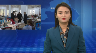 建好小微产业园 打造经济发展“增长极”