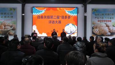 “菇多多”大赛，真香！